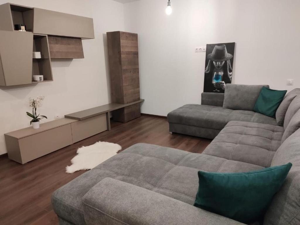 Clasificat - Flat 1 - Vouchere, Factura, Petfriendly, Petfriendly, Adminro Srl Braşov