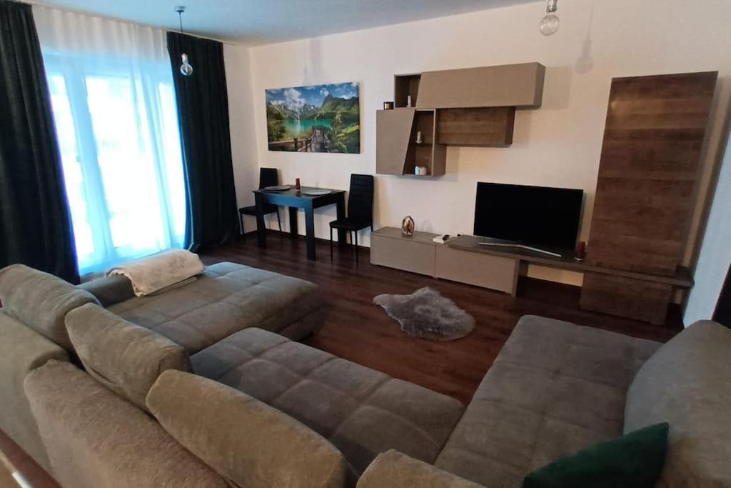 Clasificat - Flat 1 - Vouchere, Factura, Petfriendly, Petfriendly, Adminro Srl Appartamento